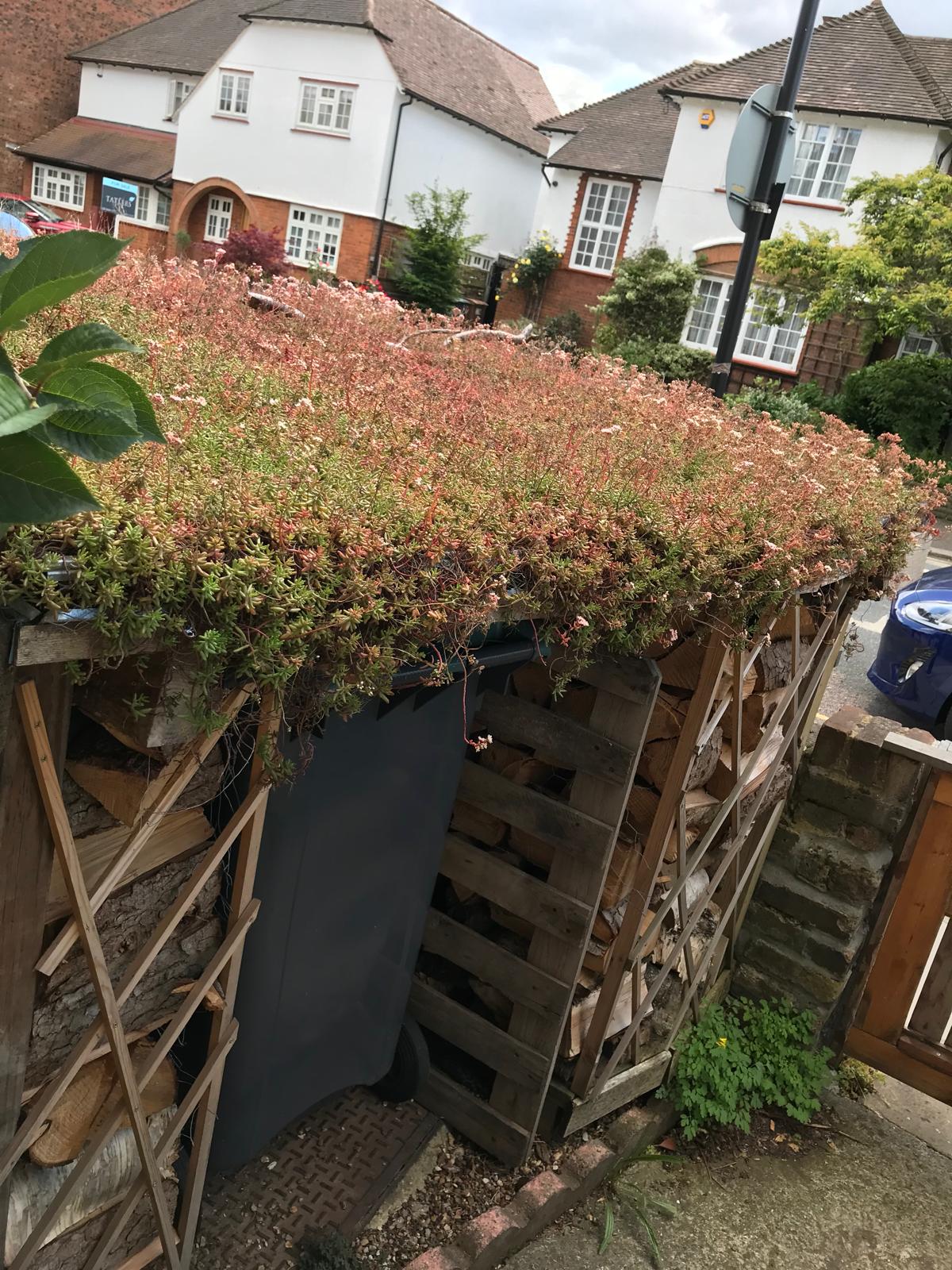 tree+surgeon+near+aldenham - TREE SURGEONS ALDENHAM