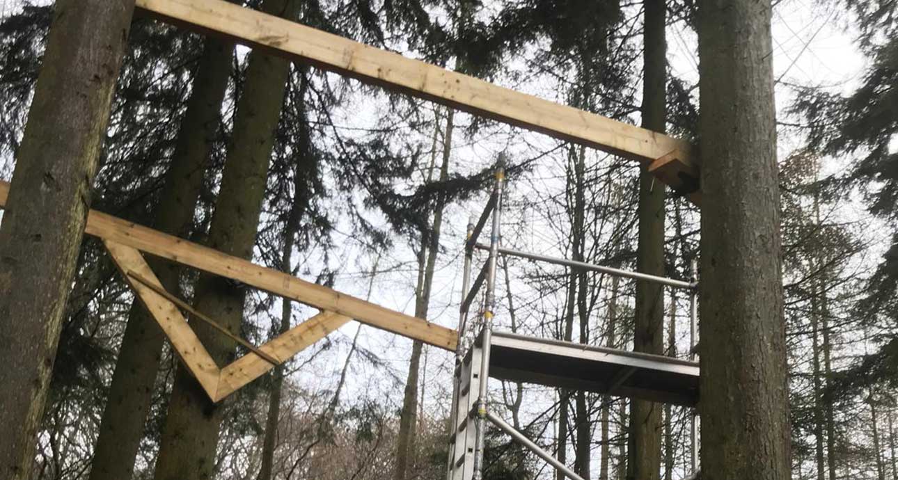 ELSTREE BOREHAMWOOD TREEHOUSE BUILDING - TREE SURGEONS ELSTREE BOREHAMWOOD