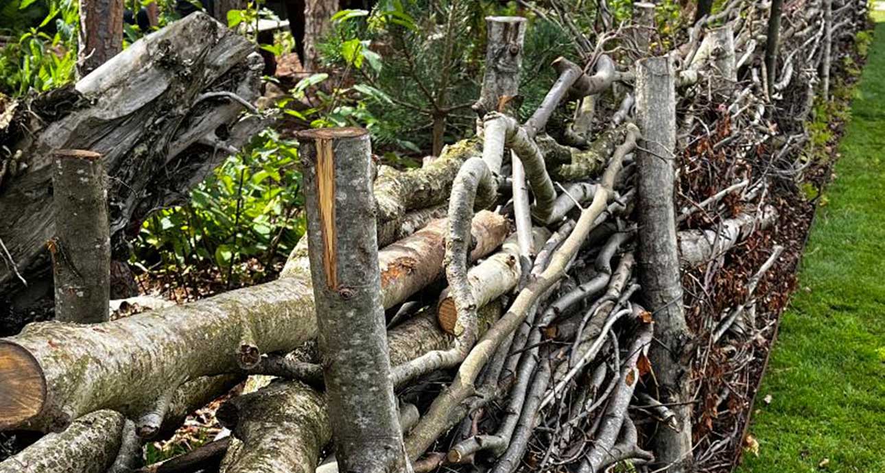 CHINGFORD DEAD HEDGING - TREE SURGEONS CHINGFORD