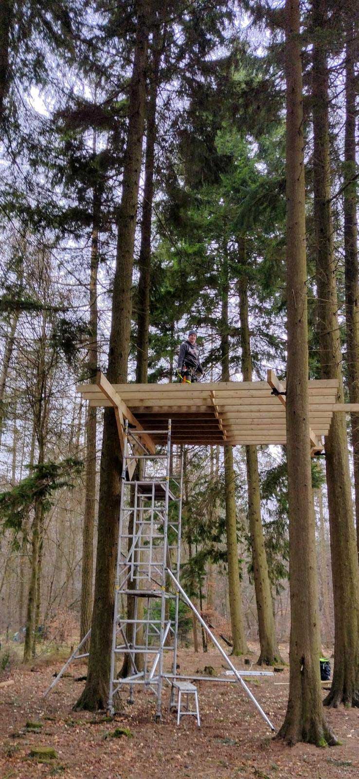 tree+surgeon+near+colindale - TREE SURGEONS NW9 COLINDALE
