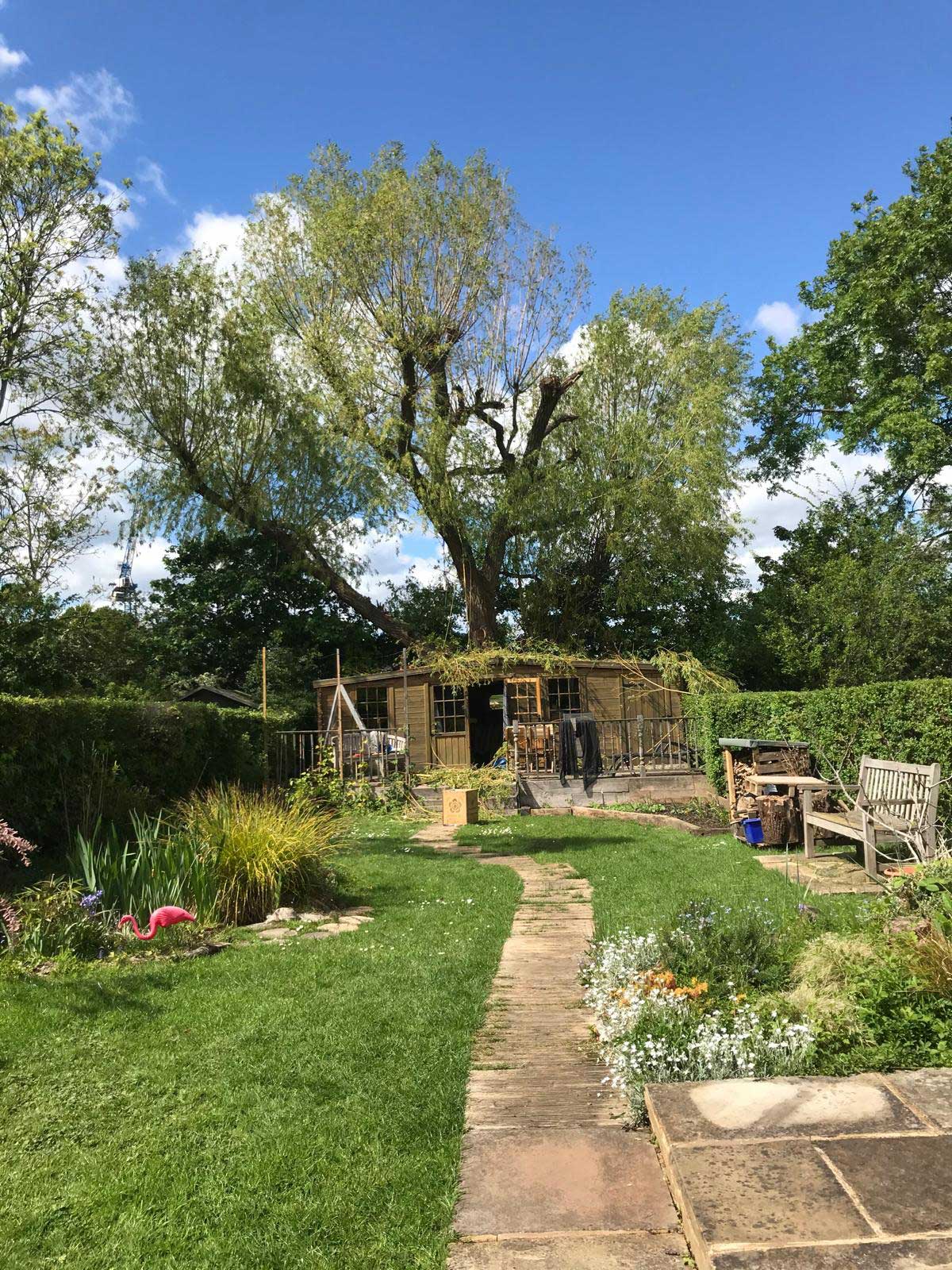 tree+surgeon+near+colindale - TREE SURGEONS NW9 COLINDALE