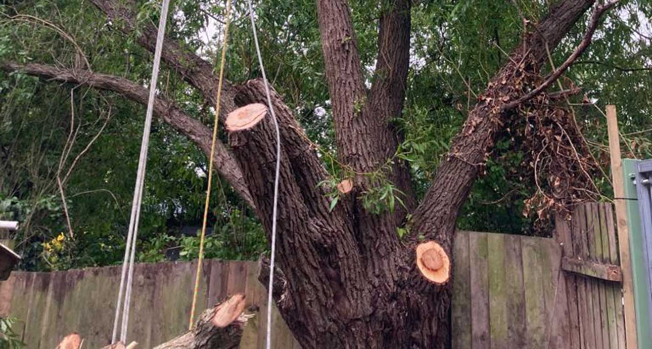 tree+surgeon+near+croxley green - TREE SURGEONS CROXLEY GREEN