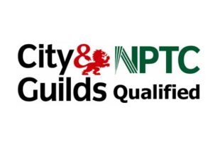 city guilds qualified tree surgeons GOLDERS GREEN NW11 TREE SURGEONS