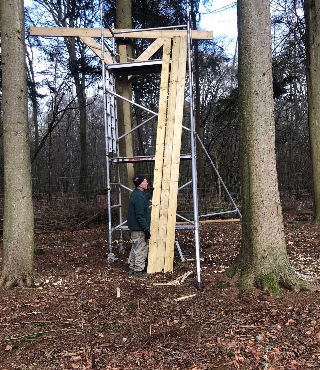 tree+surgeon+near+golders green - TREE SURGEONS GOLDERS GREEN NW11