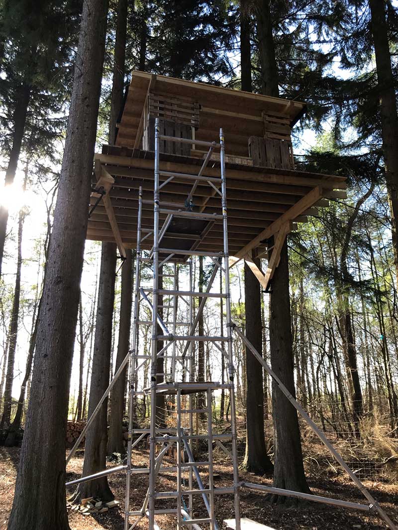 tree+surgeon+near+highgate - TREE SURGEONS HIGHGATE