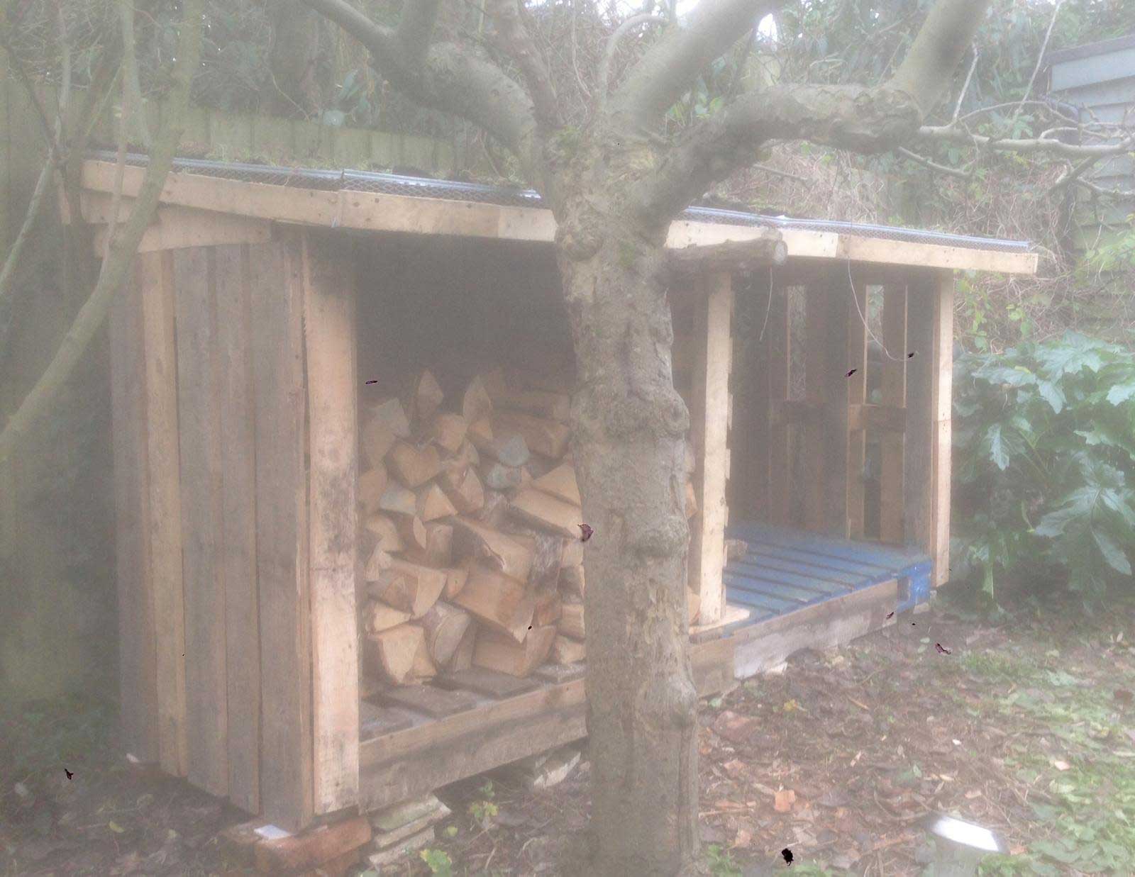 tree+surgeon+near+islington n1 - TREE SURGEONS ISLINGTON