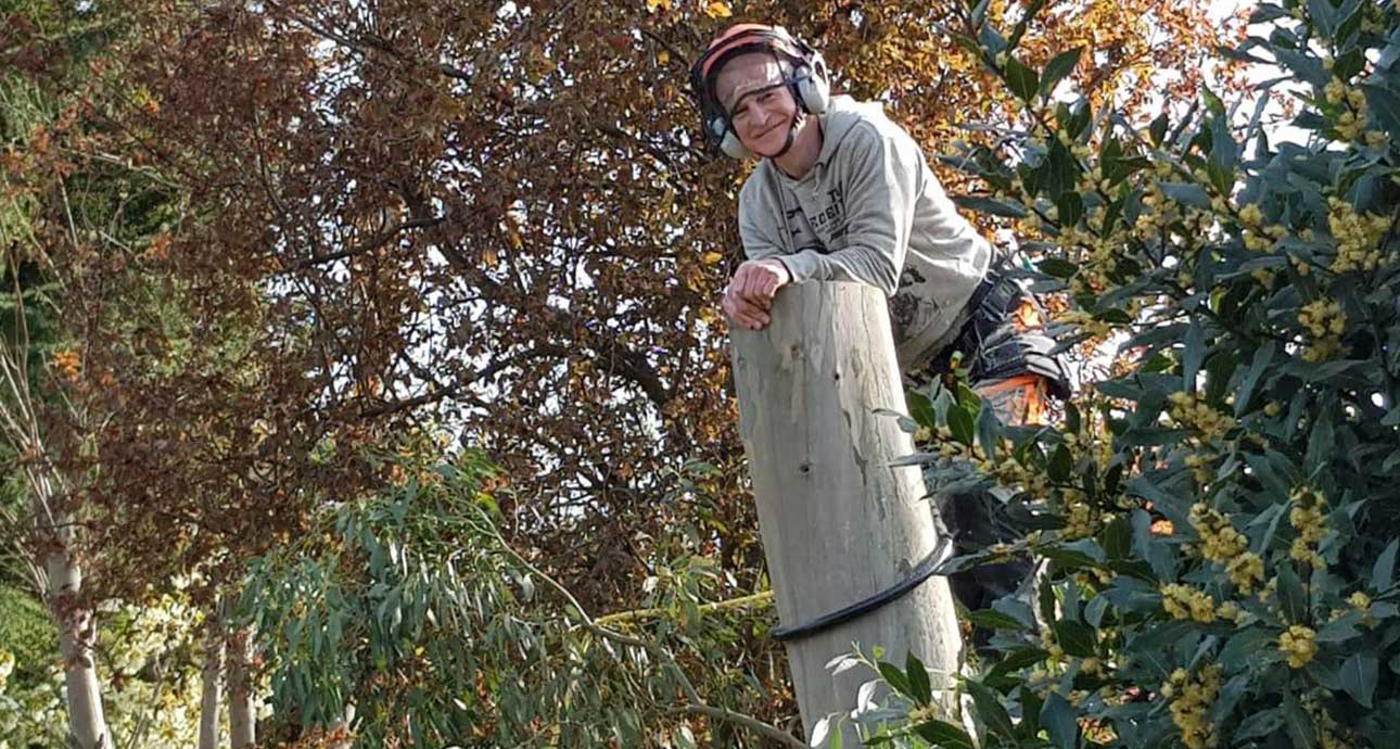 KINGS LANGLEY TREE STUMP REMOVAL - TREE SURGEONS KINGS LANGLEY
