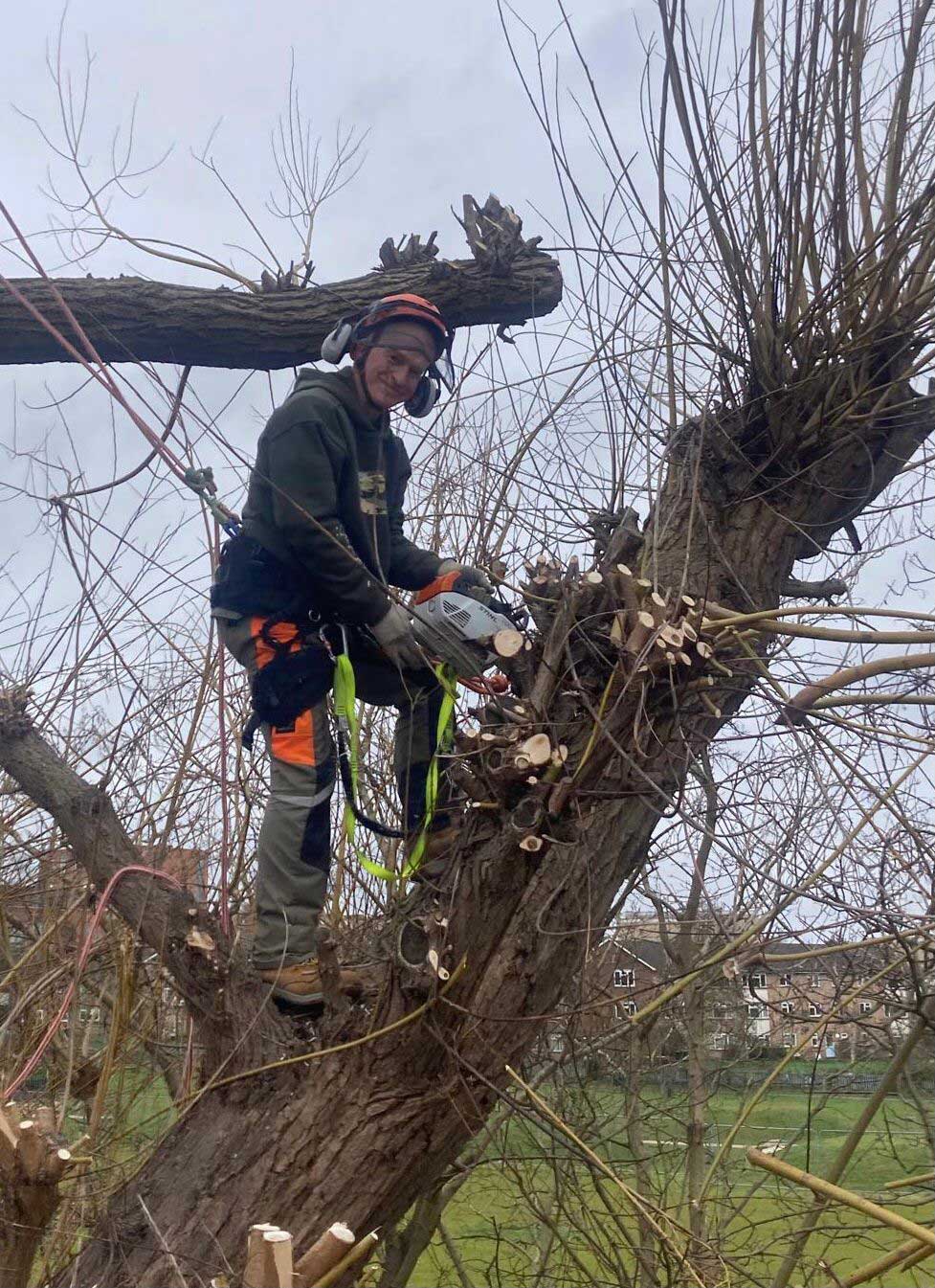 NORTH LONDON TREE SERVICES - TREE SURGEONS NORTH LONDON CALL: 0208 058 1883